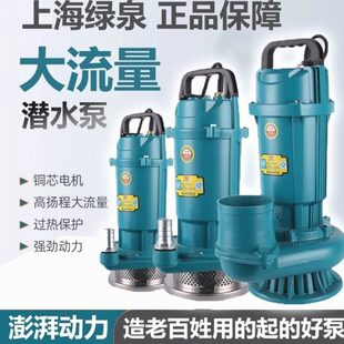 德国进口家用220V纯铜水泵农用单相农用灌溉小型潜水泵高扬程大流