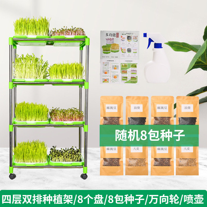 4层育苗盘架双层加密盘纸上种菜无土栽培蔬菜多功能种植育苗架子