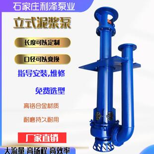 液下渣浆泵高铬合金耐腐蚀立式渣浆泵液下泵沙场专用抽沙泵可加长