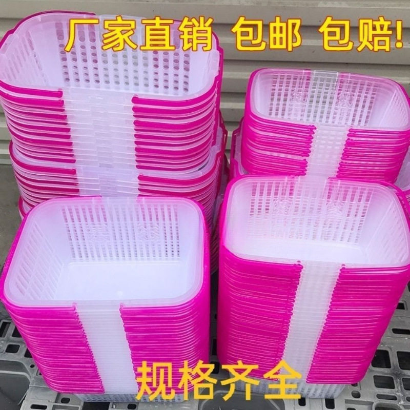 厂家直销批发手提塑料采摘篮