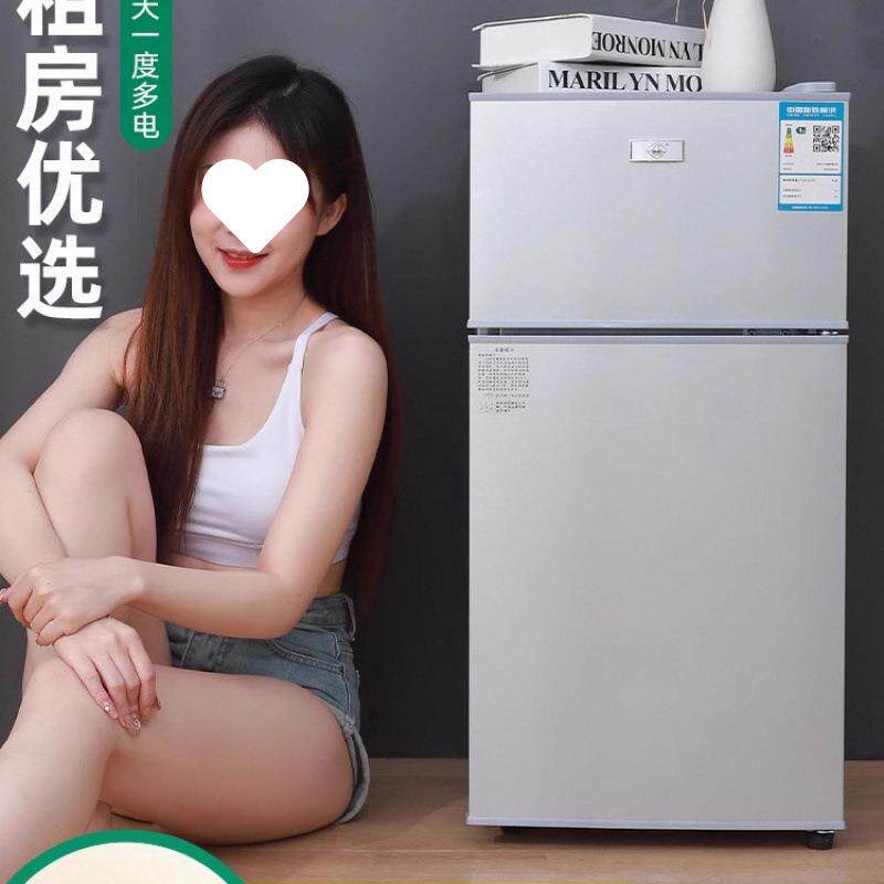 P冰箱家用小型宿舍出租房冷冻冷藏迷你双开门电冰箱一级节能省电