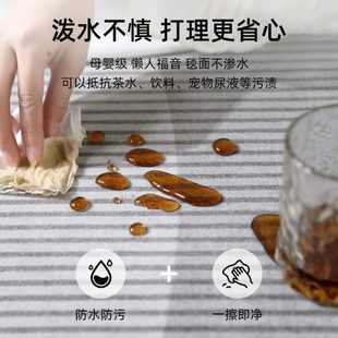边家用地毯客厅地垫大面积高级免打理沙发2024毯感卧室床免洗新款