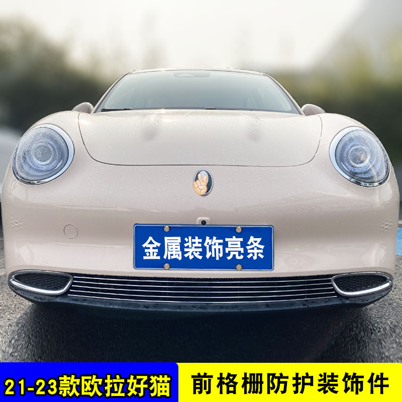 欧拉好猫中网改装饰条好猫GT外观专用防护配件汽车用品前杠防虫网