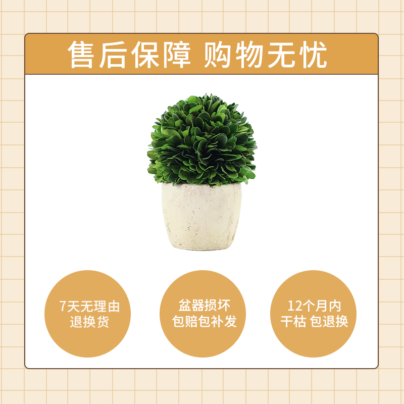 复古风迷你植物小盆栽办公室内桌面绿植好养客厅装饰摆件趣味盆景