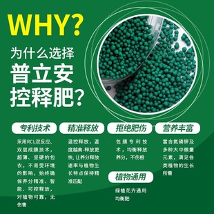 普立安控释肥家用养花肥料花卉绿植通用型绣球月季颗粒花肥601T