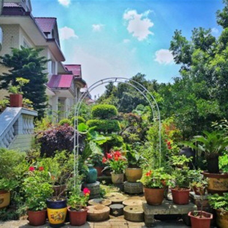 铁艺花架蔷薇牵牛花紫藤爬藤架阳台花园婚庆拱门葡萄丝瓜月季支架