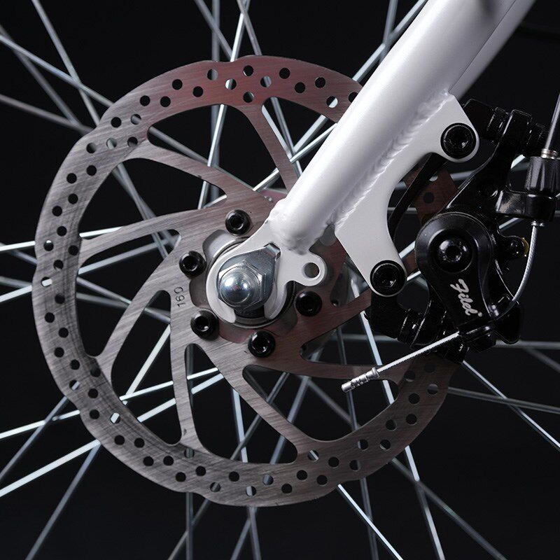 PHOENIX/凤凰26寸电动自行车新国标锂电池男女式轻便助力车电动车