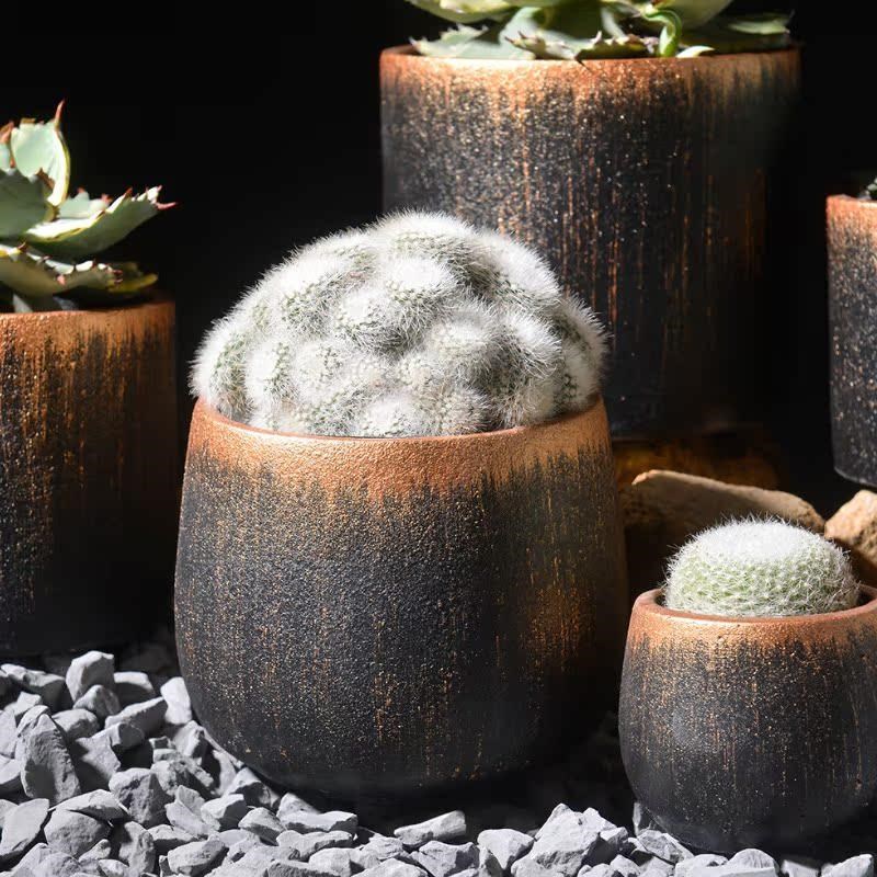 潮玩龟甲龙块根植物花盆透气流金水泥布纹球兜龙舌兰植木钵包邮