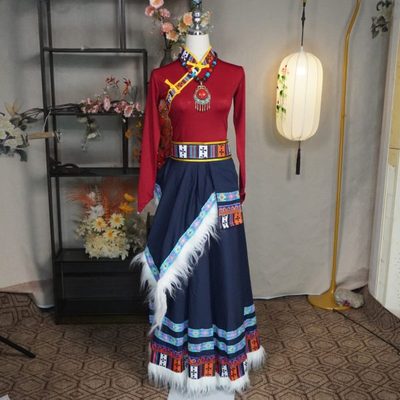 服装学生新款练功半身裙舞蹈艺考演出服大摆裙藏族民族演出练习