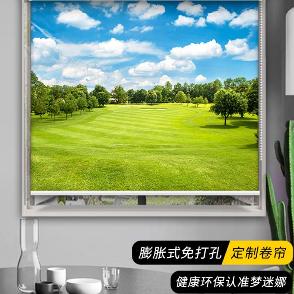 风景画全遮光窗帘卷帘卷拉式客厅免打孔电动伸缩遮阳帘浴厨房防风