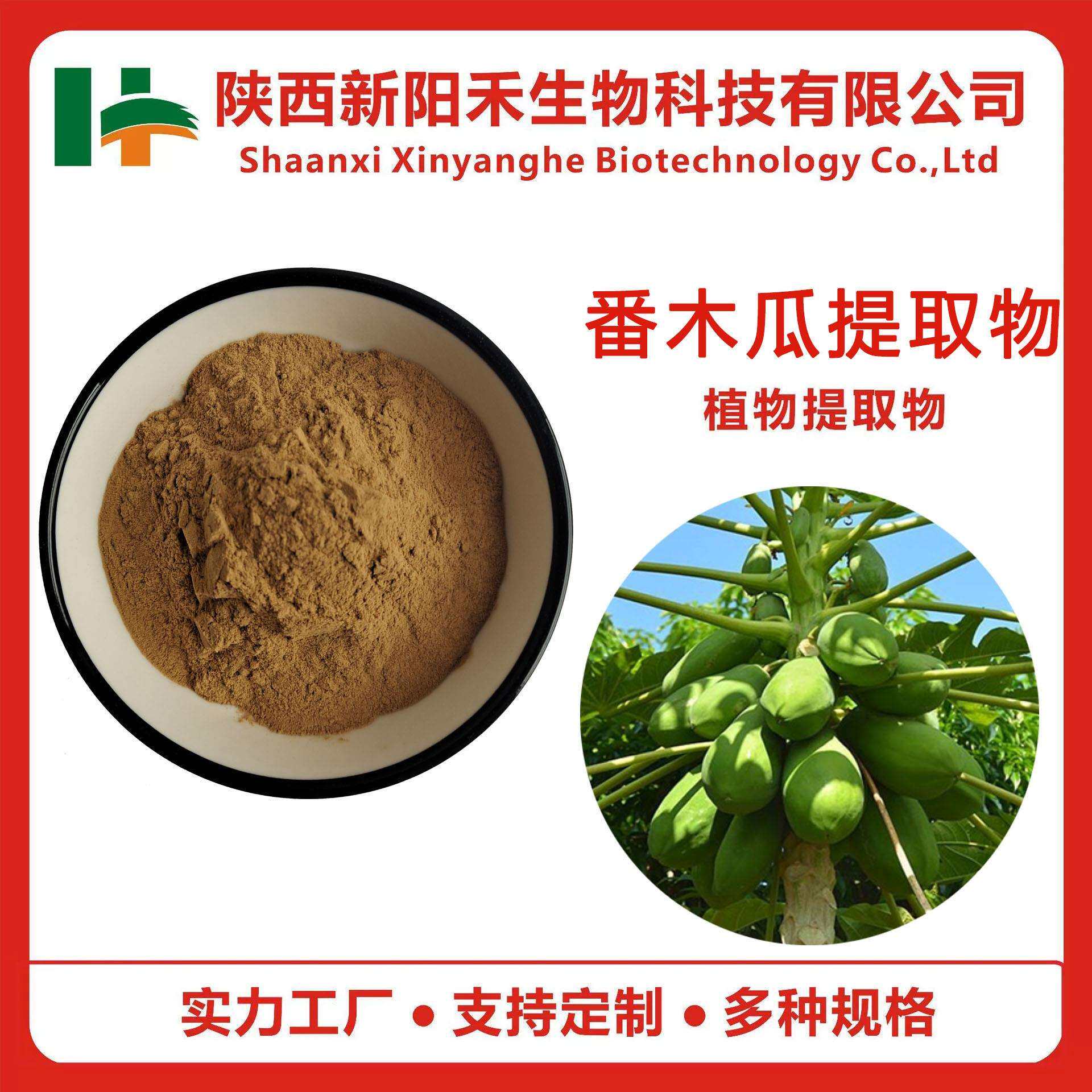 番木瓜提取物木瓜粉含木瓜皂甙木瓜蛋白番木瓜叶提取物新阳禾