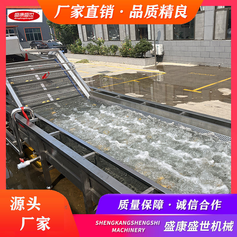 蔬菜气泡清洗机水果清洗设备多功能洗菜机一机多洗应用范围广
