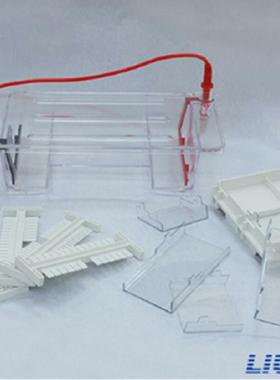 北京六一DYCP-31DN型琼脂糖水平电泳仪