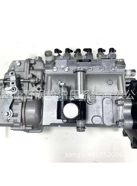 喷油泵101602-8510 101062-8050 115603-2610和和105411-2300