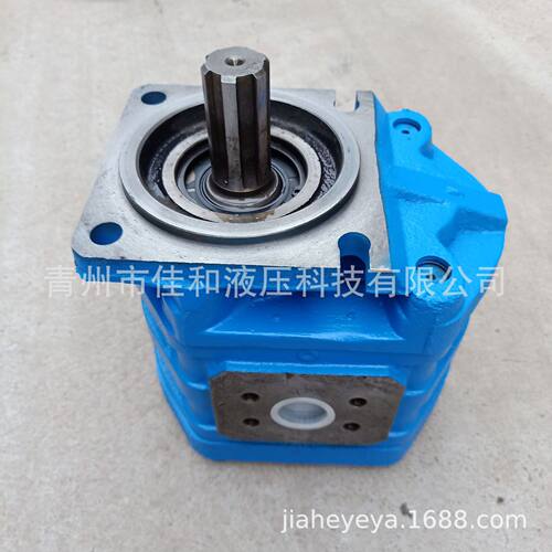柳工833工作泵CBGJ3100A柳工配套齿轮泵11C0055