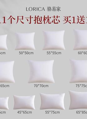 骆易家抱枕芯内胆455060客厅沙发靠枕腰枕靠背垫套大号床上靠垫