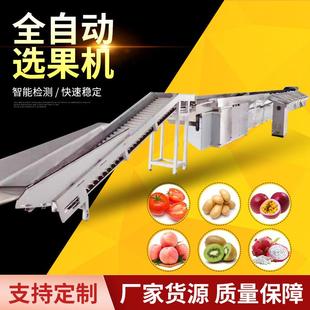 百香果克重分选机水果多规格称重分级机全自动选果机生产