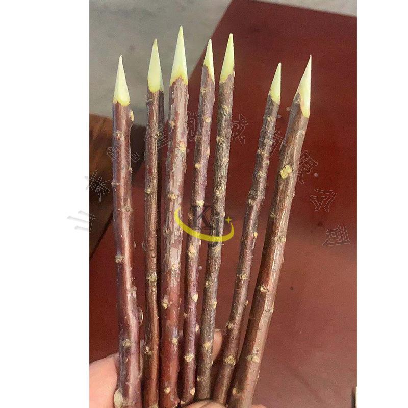 红柳条磨尖机烧烤签削尖机夏季烧烤签红柳枝削尖机木工削尖机