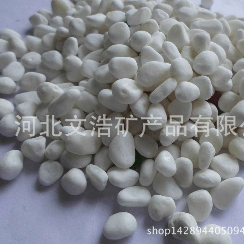 灵寿迷你白色·小石子   装饰花盆   水培 多色石子  地坪石子