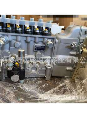 喷油泵A8N10BP5715和M3200BP5019和*BP5111A7500