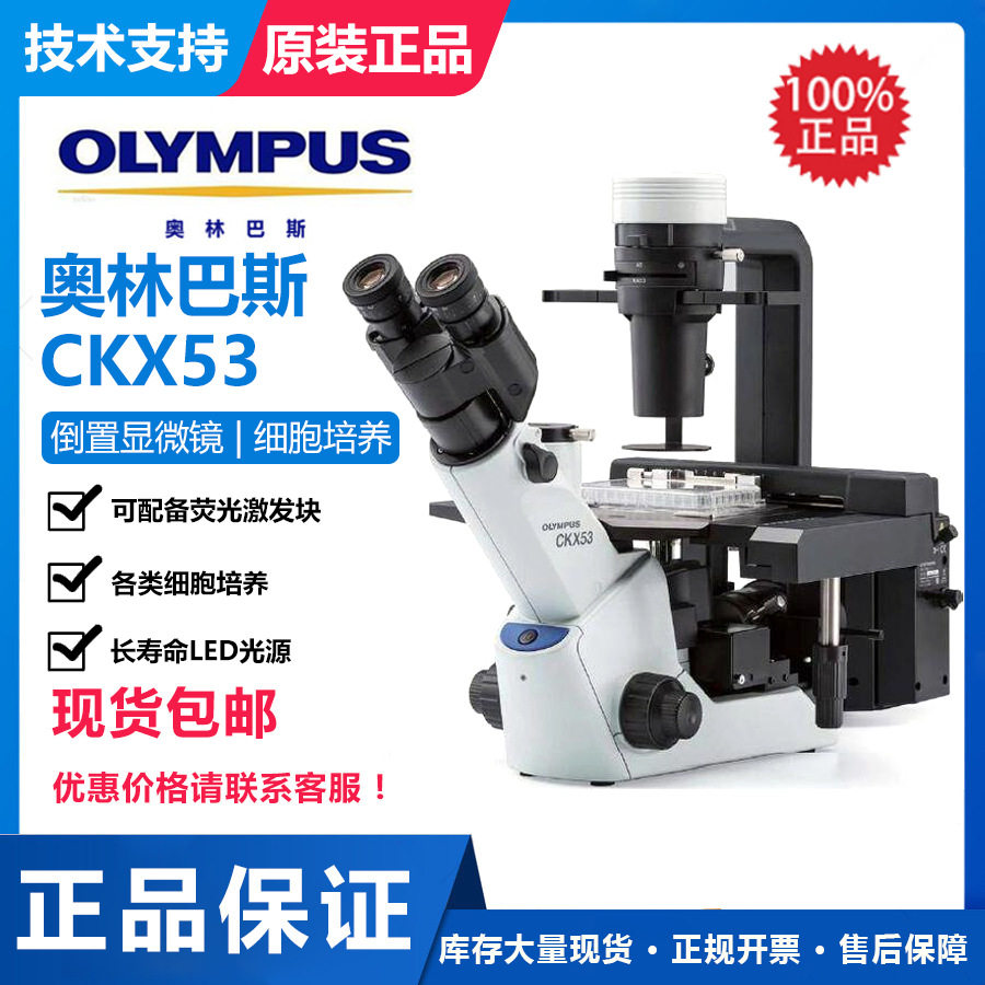 Olympus/奥林巴斯倒置生物显微镜CKX53/奥林巴斯CKX53显微镜