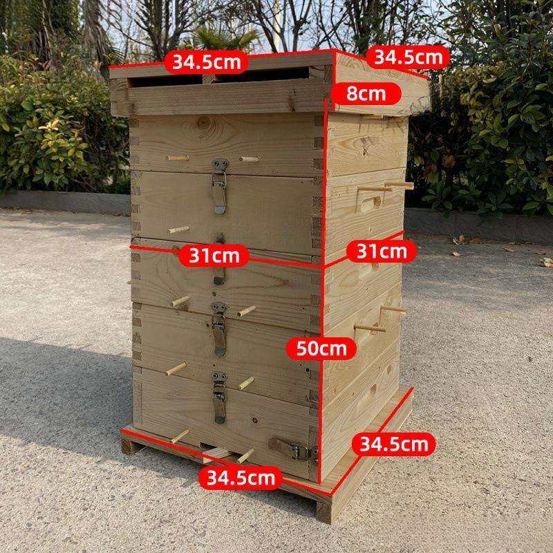蜜蜂箱格子箱中蜂土养格子箱蜜蜂养殖工具诱蜂桶全套杉木烘干煮蜡