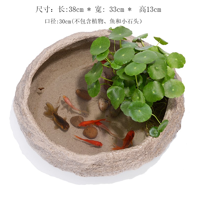 水仙花盆多肉花盆陶瓷无孔铜钱草养鱼缸仿石头大号绿萝水培植物盆