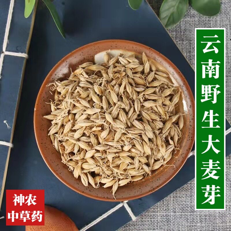 云南材生麦芽500g散装纯天然大麦芽泡茶调理脾胃双芽水回奶