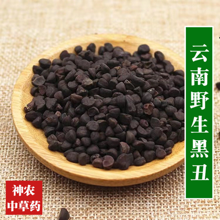 云南野生材黑丑500g精选特级野生黑牵牛高品质牵牛子品质保证