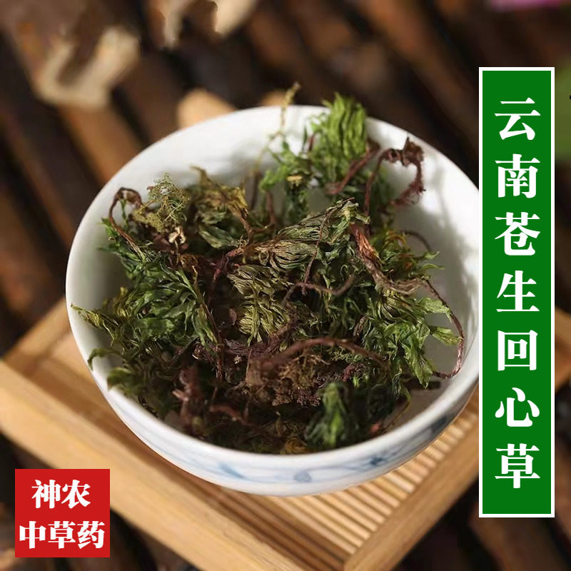云南中草药回心草500g茴心草干净清爽无灰尘大叶藓苍山回芯草正宗