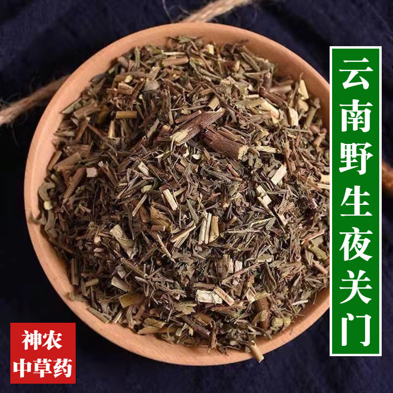 云南野生材夜关门500g中草药精选特级正宗铁扫帚品质保证无硫