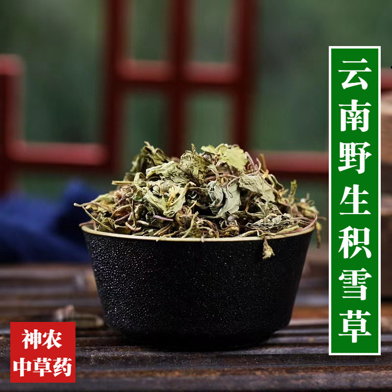 云南材野生积雪草500g自然晾晒中草药精选特级天然无硫马蹄草
