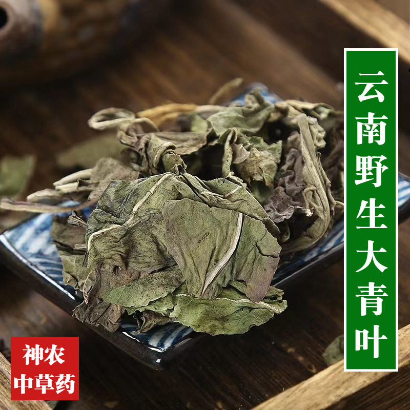 云南野生大青叶500g材精选特级天然无硫中草药板蓝根叶高品质