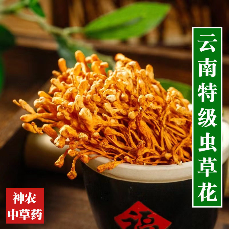 云南虫草花500g新货无硫熏精选特级金虫草北虫草干货菌菇汤包