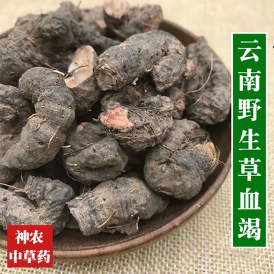 云南野生材草血竭 老腰弓 地蜂子 一口血 拳参 500g精选特级