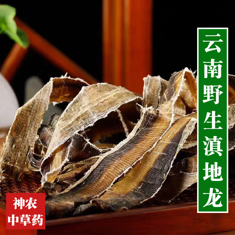 云南材地龙500g无泥沙精选特级全开地龙添加蚯蚓干皮药