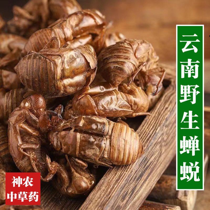 云南材蝉蜕100g精选一级天然蝉壳新鲜干货爬了猴壳泡水知了皮