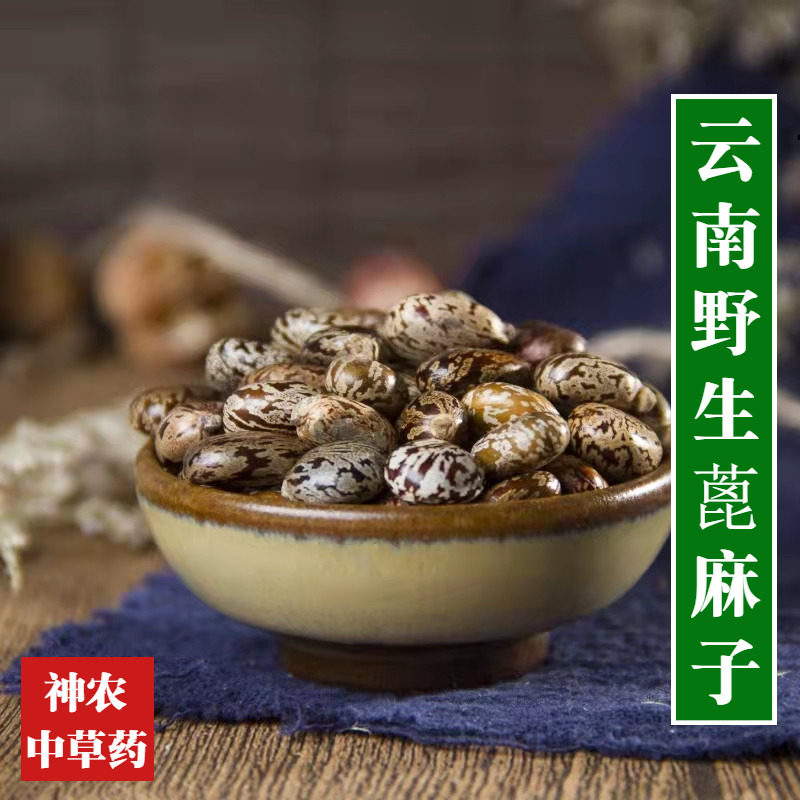 云南野生材蓖麻子500g精选特级新货饱满蓖麻籽无添加 蓖麻仁