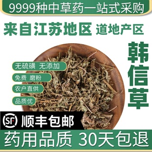 材特级野生韩信草 大力草 耳挖草金茶匙 牙刷草 50克新货