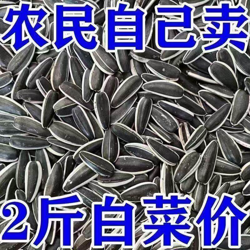 新日期内蒙古新货原味瓜子