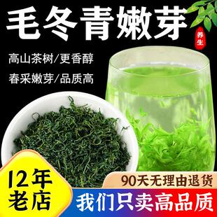 新货毛冬青茶正品云南野生茶叶毛东青中药材特级嫩芽养生茶2024年