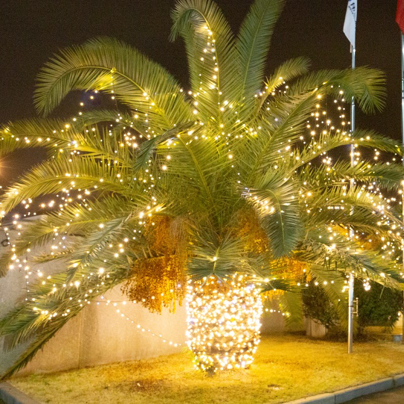 led小彩灯闪灯串灯满天星灯户外氛围灯露营挂树上装饰灯星星灯串