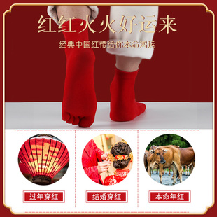 红袜子本命年五指袜男纯棉红色鸿D运款属虎年女袜结婚情侣新年