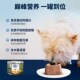 自营 zi巅峰k狗罐头主食狗饭湿粮补充营养幼犬小型犬狗狗零食