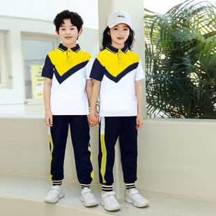 大连市沙河口区夏季中小学生校服 夏季男孩上衣短裤 女孩短裙