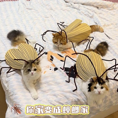 纯情蟑螂火辣辣猫咪衣服DIY手工