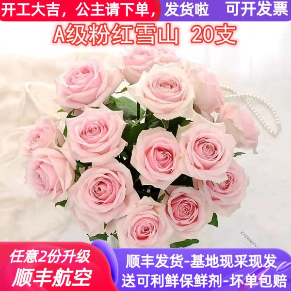 鲜云南地山雪南基A玫瑰昆明水养斗批级粉直家用室内切粉红花直发