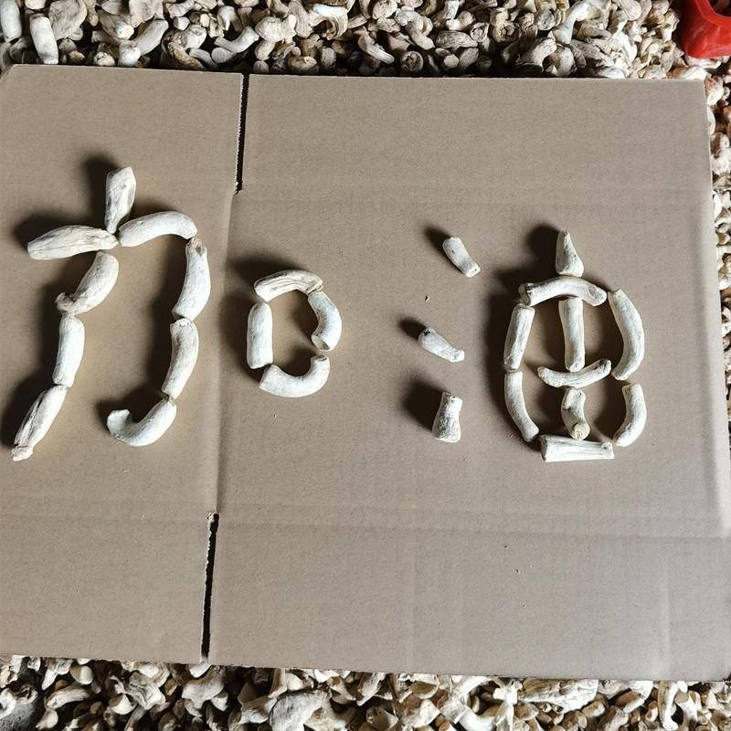向老伯500g 双剪大香菇脚干香菇丝 商用香菇腿干货冬菇柄花菇脚