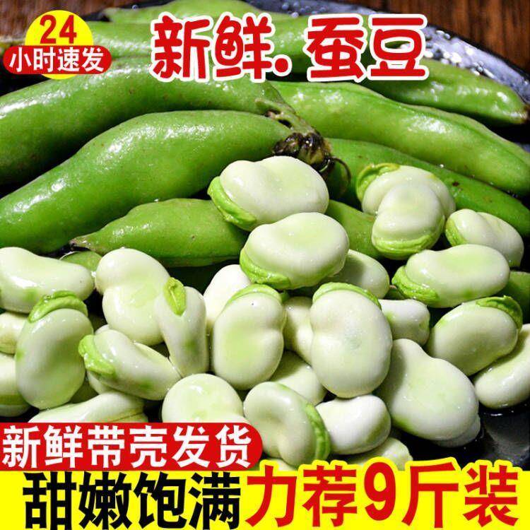 新鲜农家速冻蚕豆带壳嫩蚕豆米罗汉豆兰花胡豆大青豆四川当季蔬菜