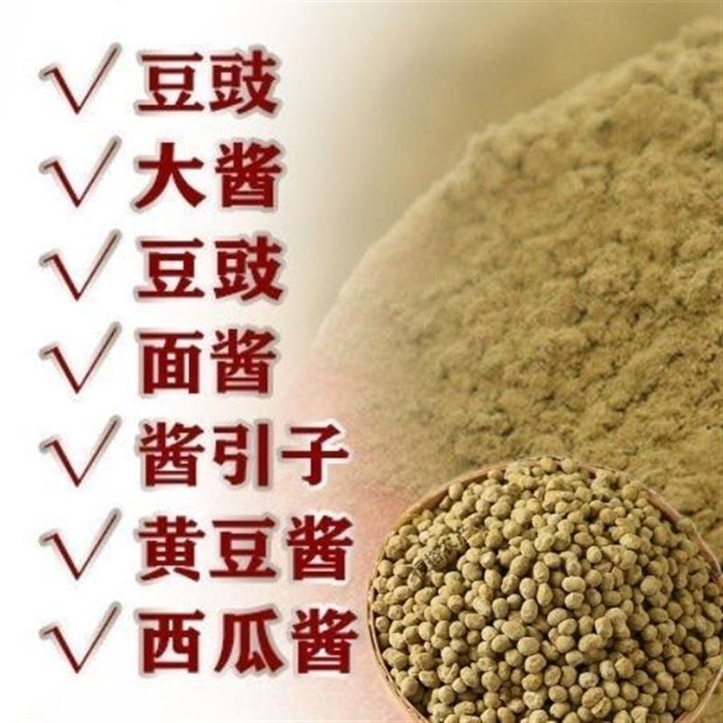 大酱发酵菌捂酱引子甜面酱